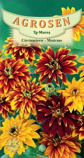 Cârciumărese Mexicane