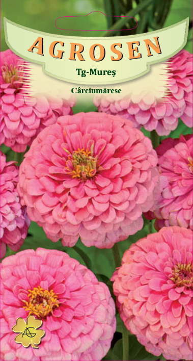 Cârciumărese mari Roz