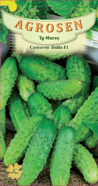 Castraveti cornichon - Dalila F1