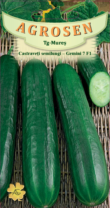 Castraveţi semilungi - Gemini F1