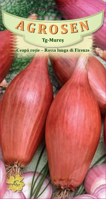 Ceapă roşie - Rossa lunga di Firenze