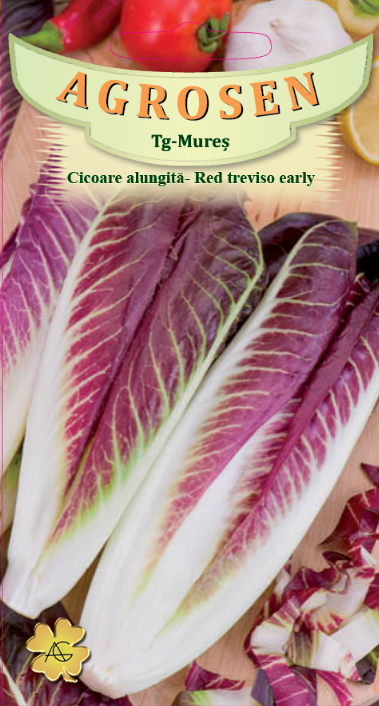 Cicoare - Red Treviso Early