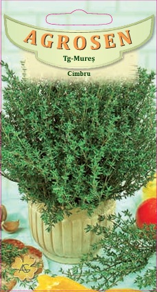 Cimbru