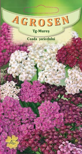 Coada șoricelului