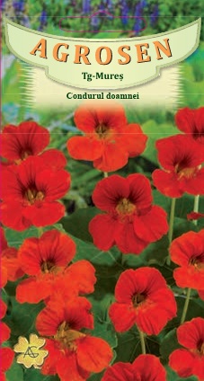 Condurul doamnei rosu