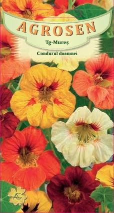 Condurul doamnei