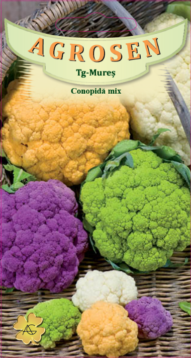 Conopida mixt