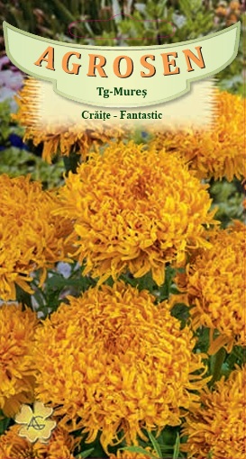 Crăițe - Fantastic