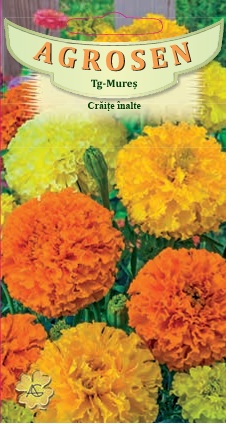 Crăiţe înalte