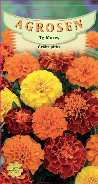 Crăiţe pitice
