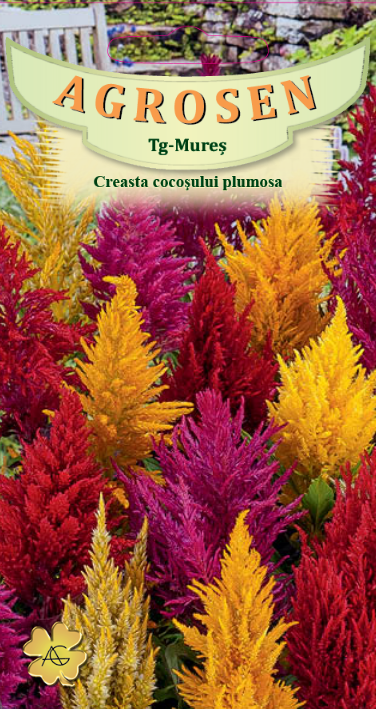 Creasta cocoșului plumosa mix