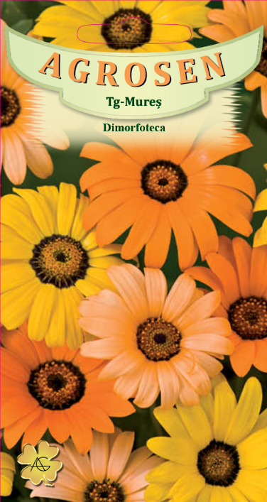 Dimorfoteca