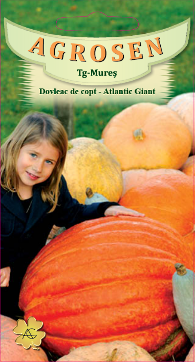 Dovleac de copt-Atlantic Giant