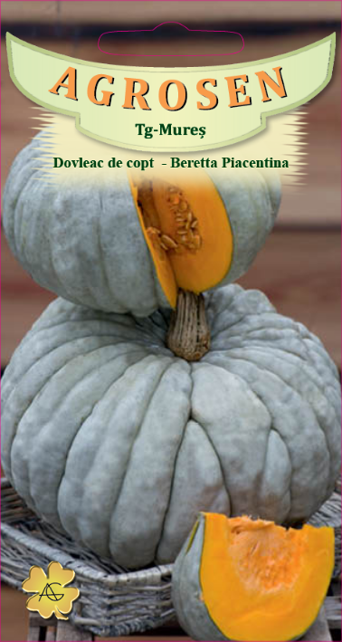 Dovleac de copt-Beretta Piacentina
