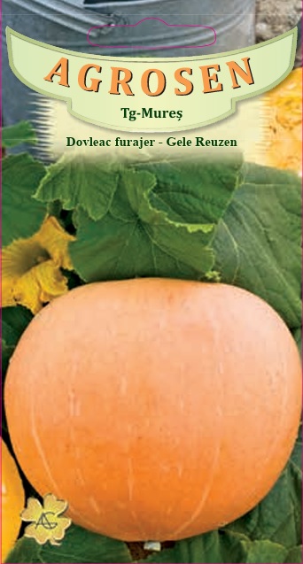 Dovleac furajer - Gele Reuzen
