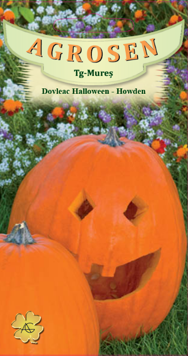 Dovleac Halloween-Howden
