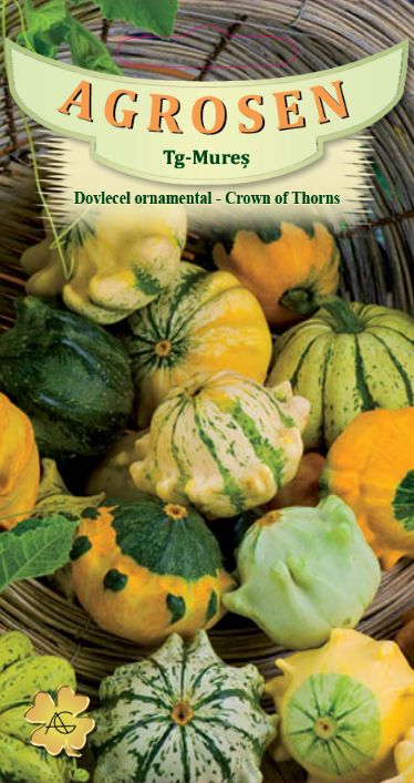 Dovlecel ornamental - Crown of Thorns