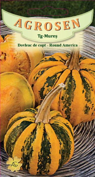 Dovleac de copt-Round America