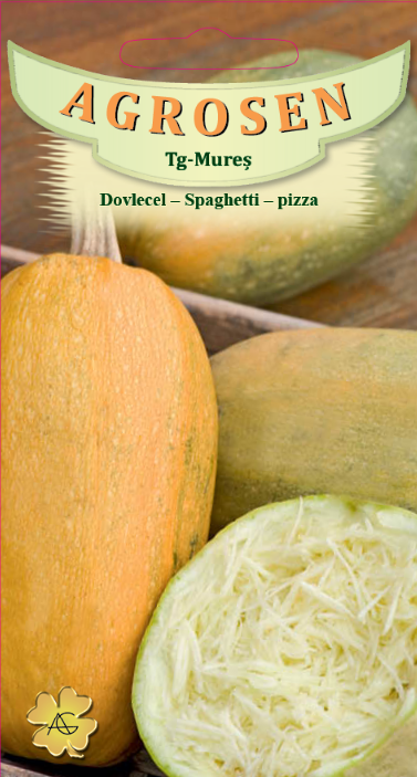 Dovlecel - Spaghetti - Pizza