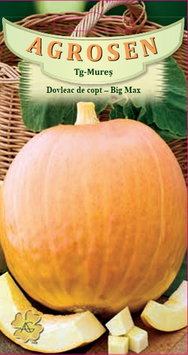 Dovleac de copt - Big Max