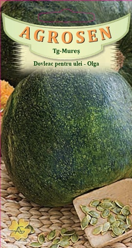 Dovleac pentru ulei-Olga