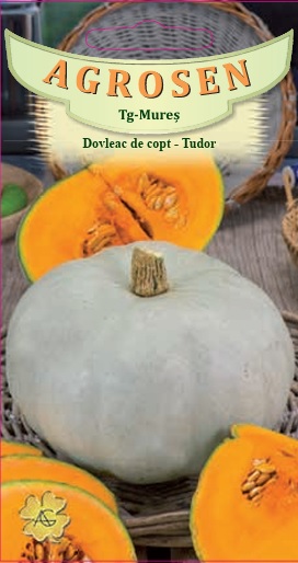 Dovleac de copt - Tudor