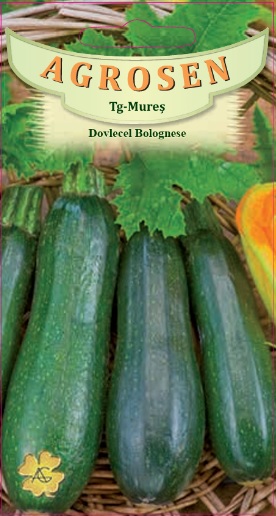 Dovlecel Bolognese