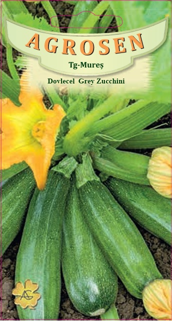 Dovlecel Grey Zucchini