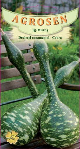 Dovlecel ornamental - Cobra