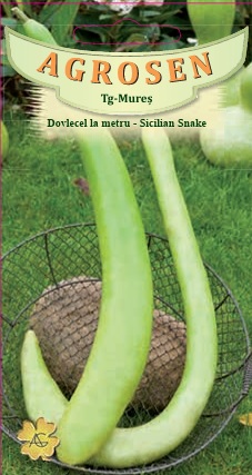Dovlecel la metru - Sicillian Snake