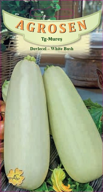 Dovlecel - White Bush