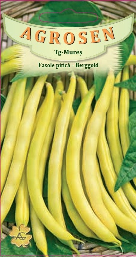 Fasole pitică - Berggold