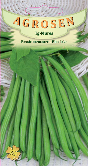 Fasole urcătoare - Blue Lake