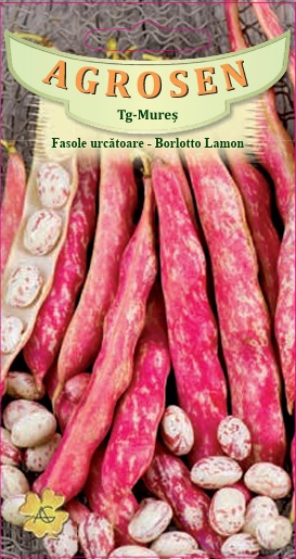 Fasole urcătoare - Borlotto Lamon
