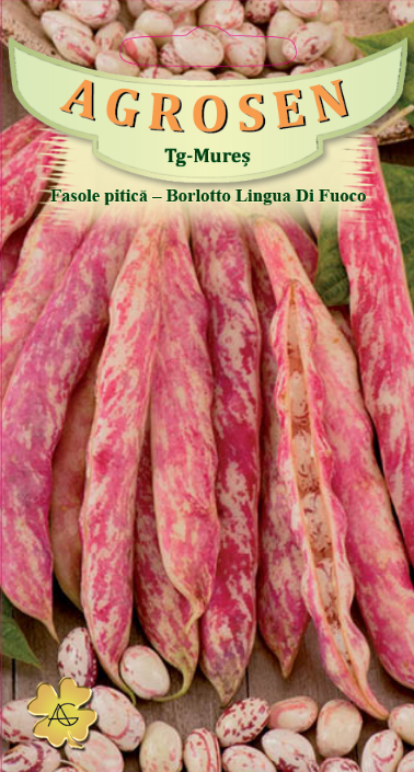 Fasole pitică - Borlotto Lingua Di Fuoco
