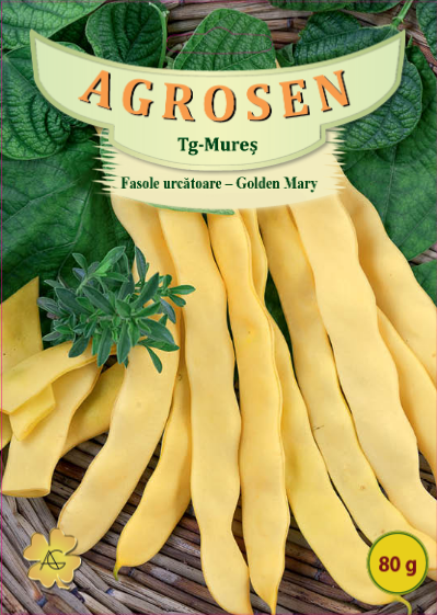 Fasole urcătoare -Golden Mary