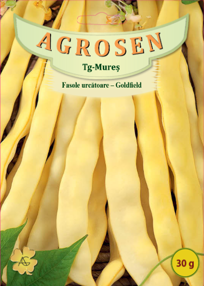 Fasole urcătoare - Goldfield
