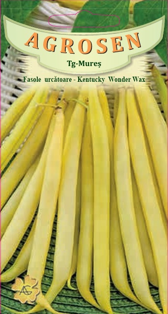 Fasole urcătoare - Kentucky Wonder Wax