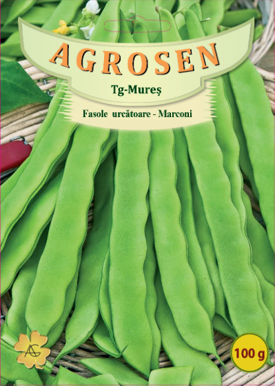 Fasole urcătoare - Marconi