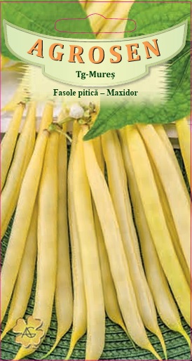 Fasole pitică -Maxidor