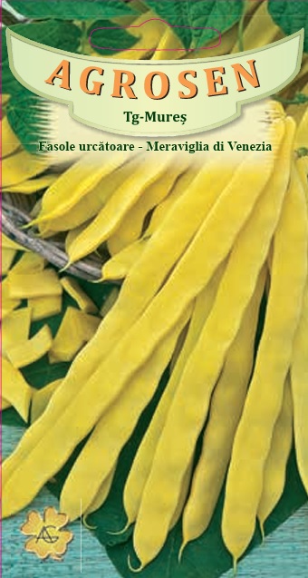 Fasole urcatoare - Meraviglia Di Venezia