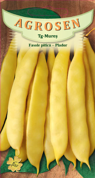 Fasole pitică-Plador