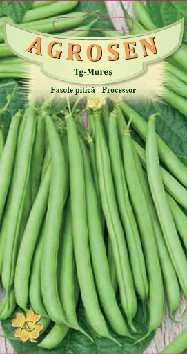 Fasole pitică - Processor