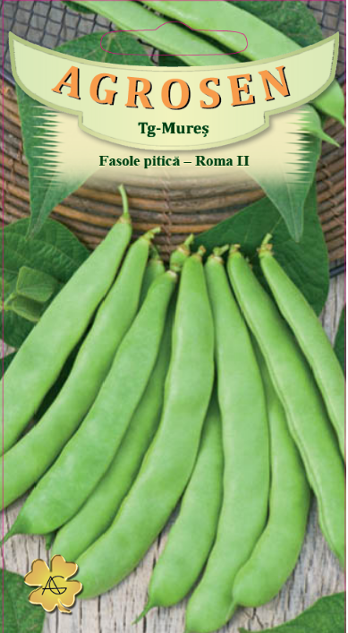 Fasole pitică - Roma II
