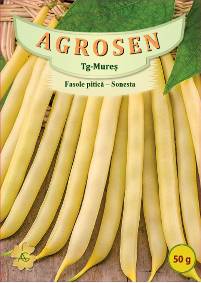 Fasole pitică-Sonesta