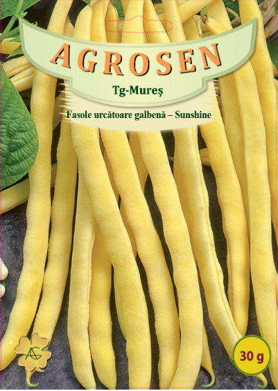 Fasole urcatoare - Sunshine