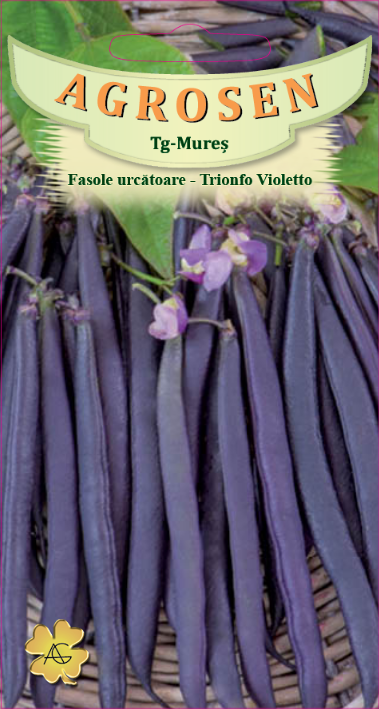 Fasole urcătoare -Trionfo Violetto