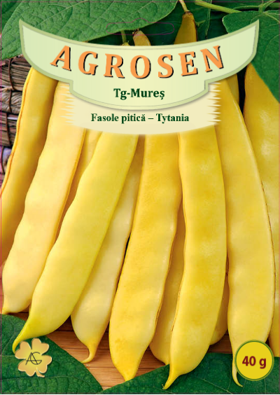Fasole pitică-Tytania