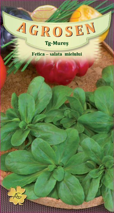 Fetică - Salata mielului