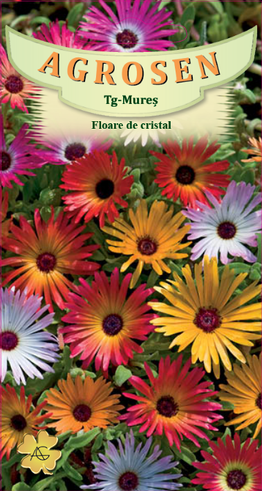 Floare de cristal